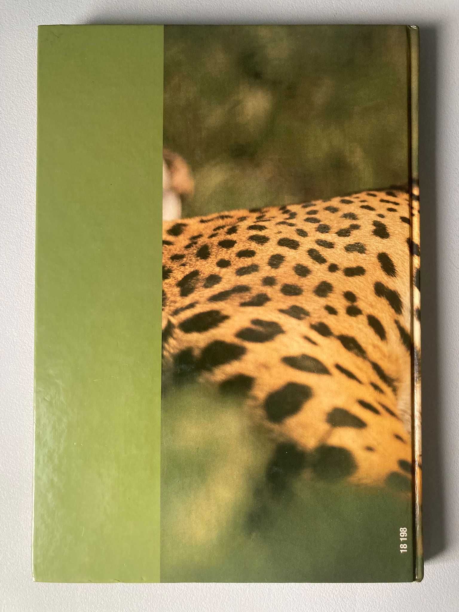 Os Animais: a maravilha da adaptação