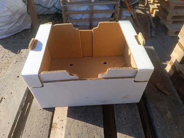 Skrzynki kartonowe na warzywa/owoce