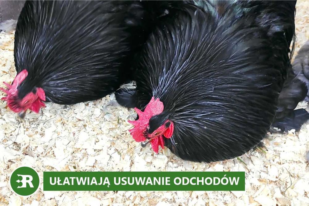 Odpylone, bezzapachowe trociny dla drobiu - 15 kg, 550 litrów