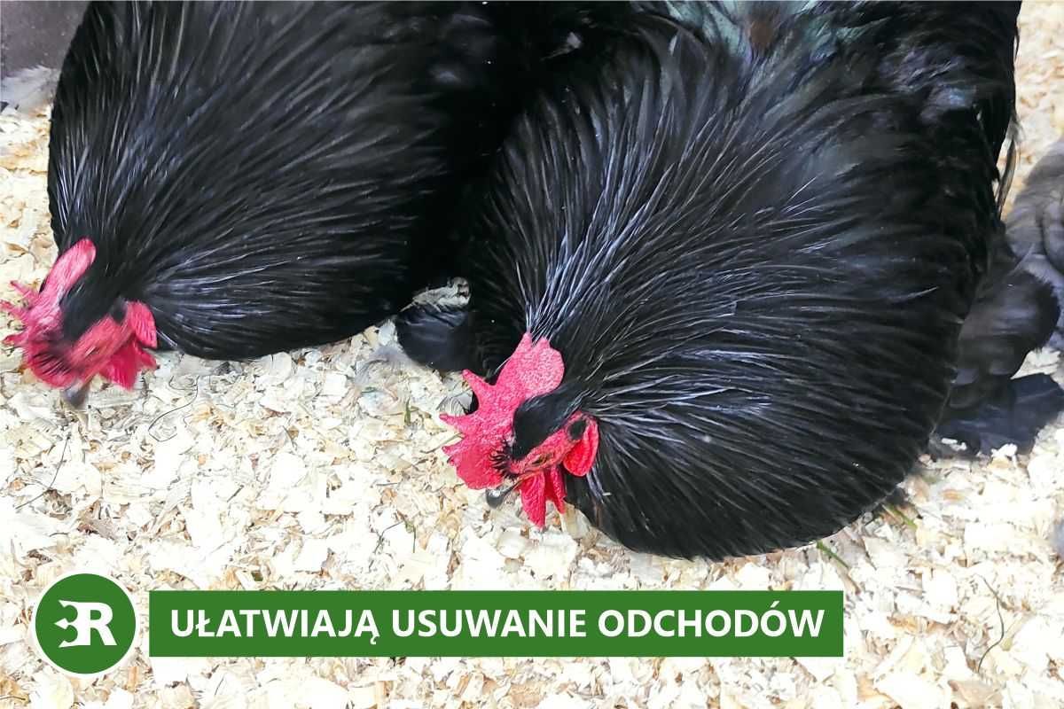 Odpylone, bezzapachowe trociny dla drobiu - 15 kg, 550 litrów