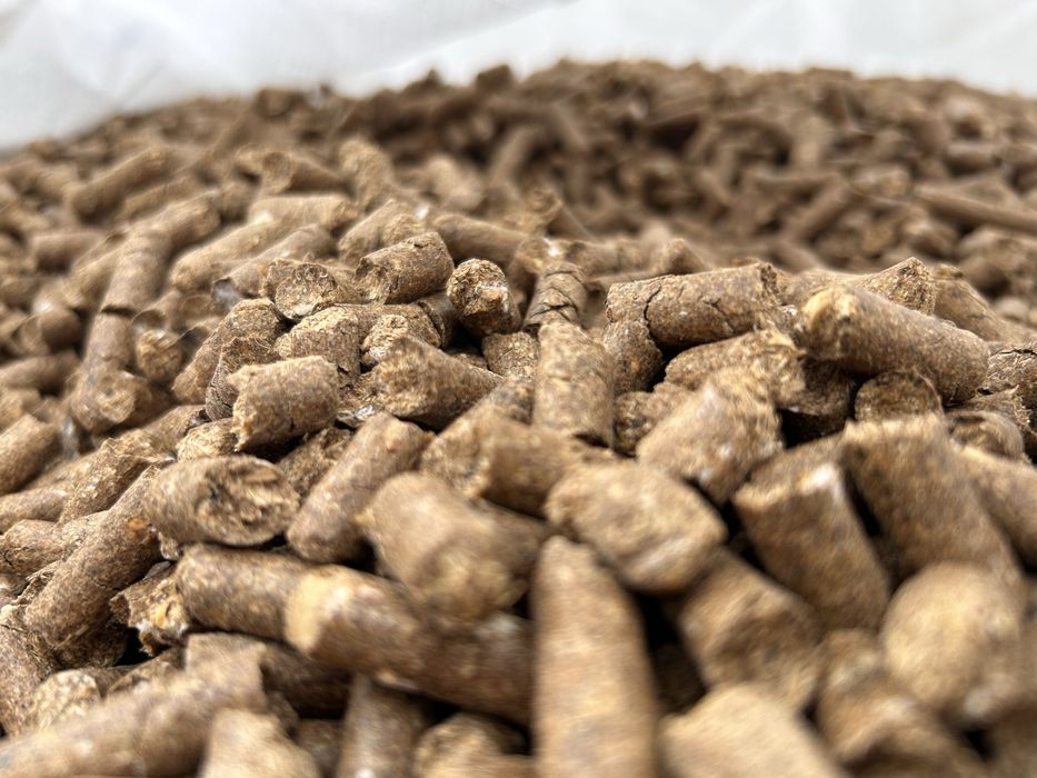 Młóto browarniane białko dla bydła