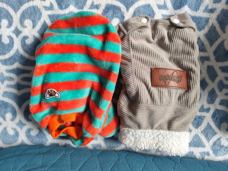 Jesienne ubranka dla małego pieska