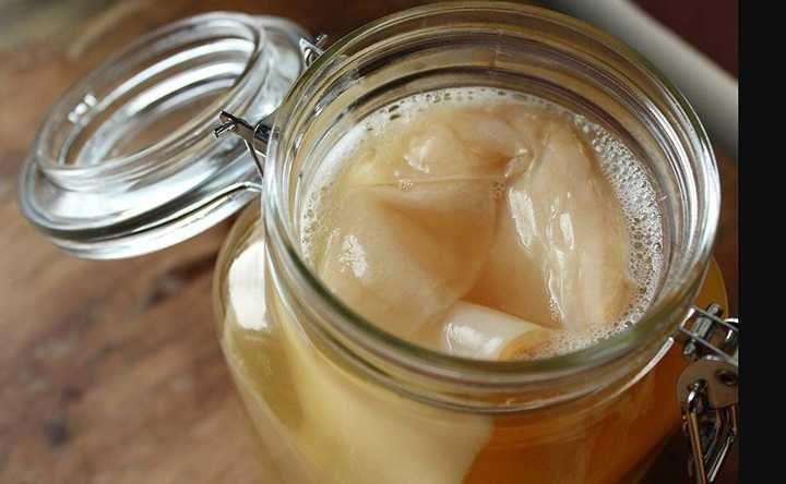 Grzybek Herbaciany 2szt Grzyb Kombucha Scoby 7cm Kombucza Starter