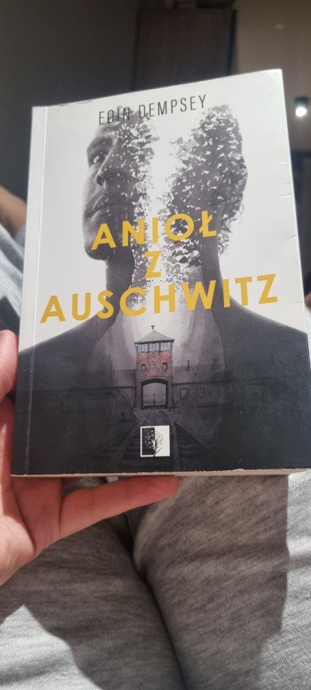 Książka Anioł z Auschwitz Eoin Dempsey