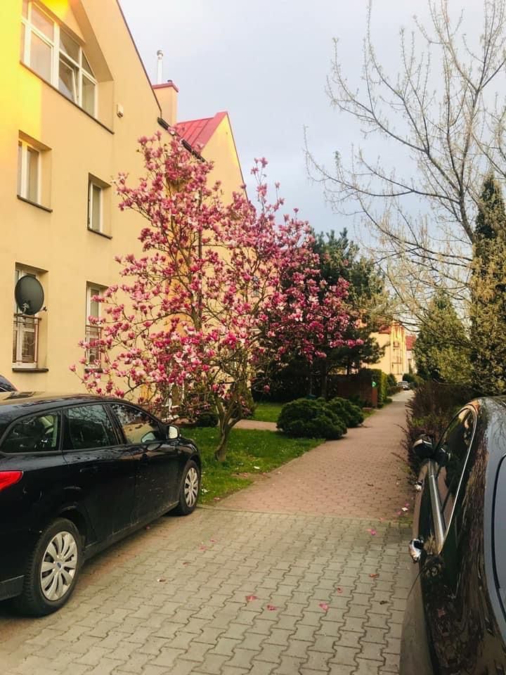 Bronowice Krakow  pokoj dla Studenta