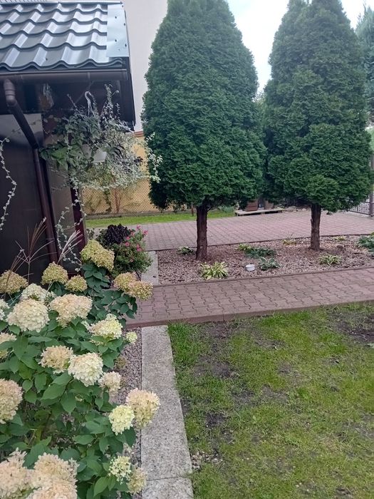 Sprzedam.. Dom z ogrodem i garażem. Z miejscem postojowym na posesji.