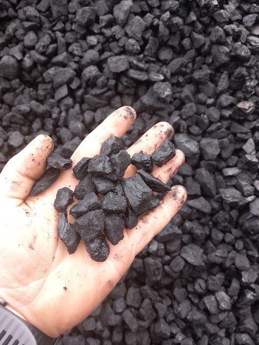 Eko groszek , eko miał, węgiel