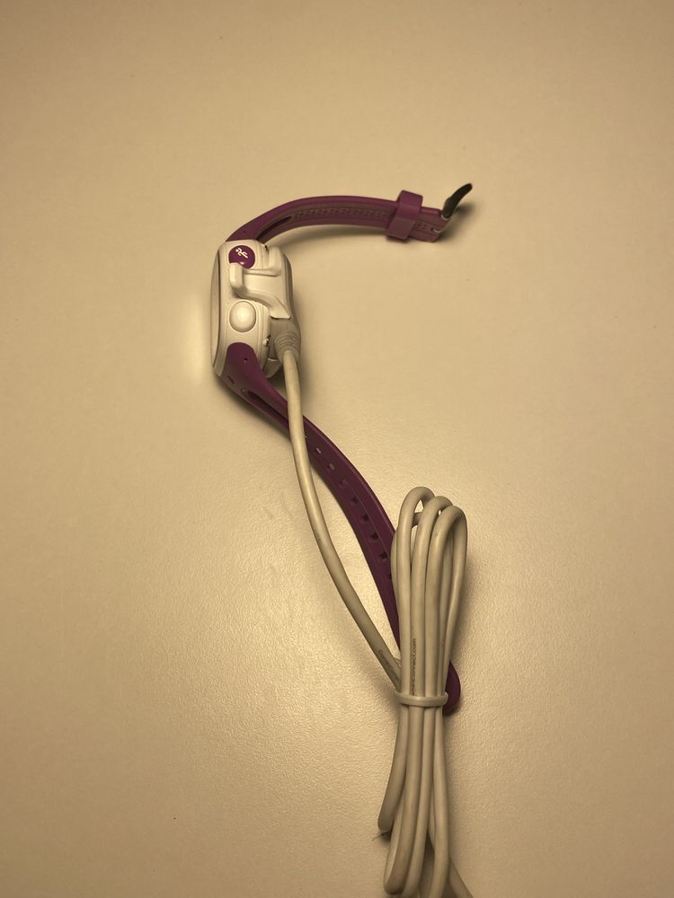 Zegarek sportowy Garmin Forerunner 15