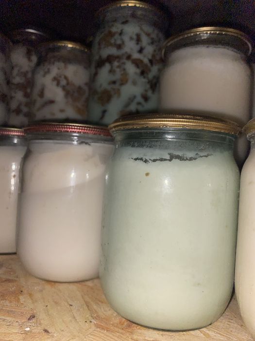 Продам смалец и шкварки