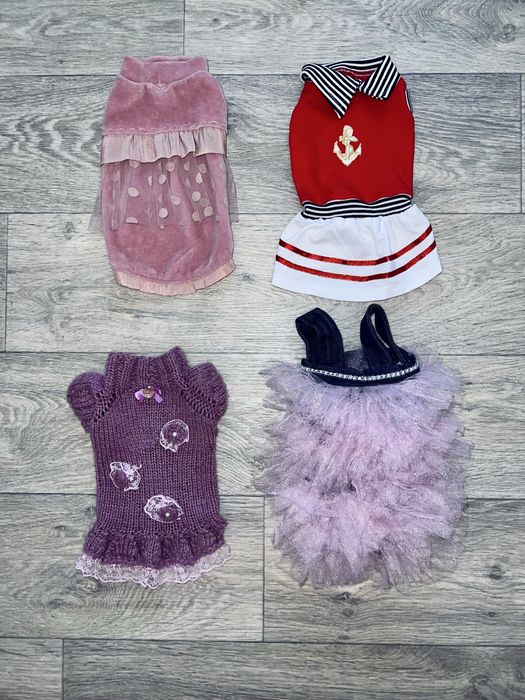 Одежда для собак is pet fashion на размер XS S M комбинезон куртка