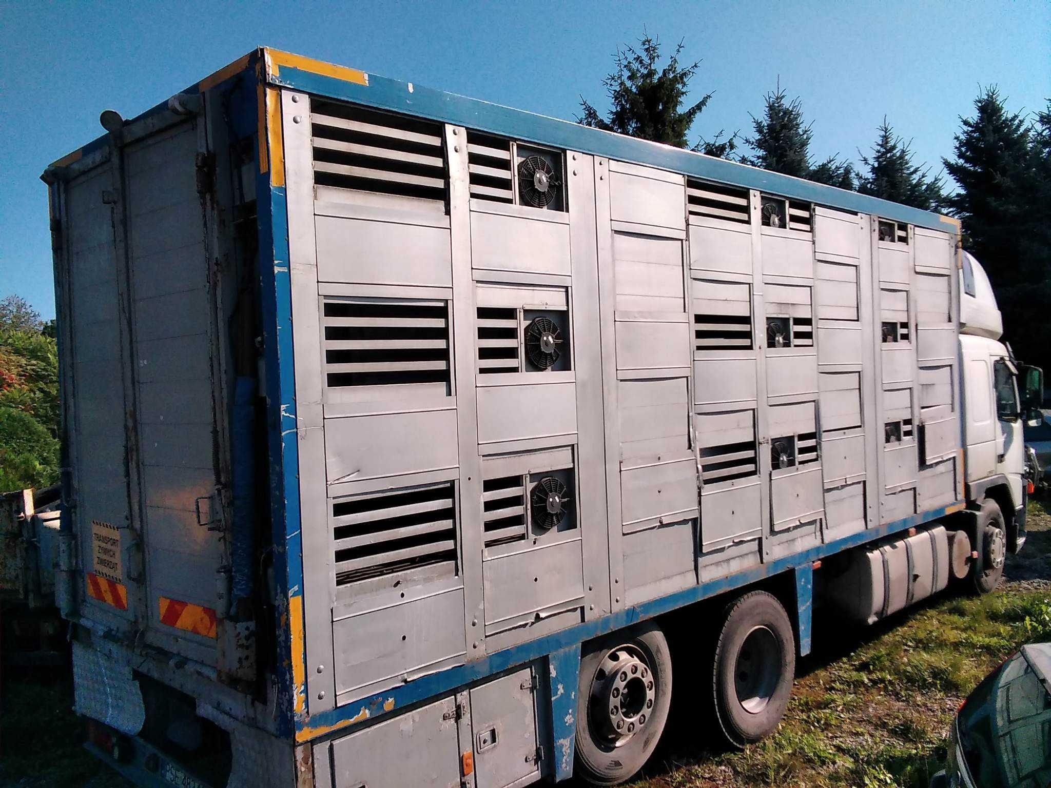 Rama Do Zabudowy Volvo FM 12 380KM Żywcówka Przewóz Zwierząt Żywiec