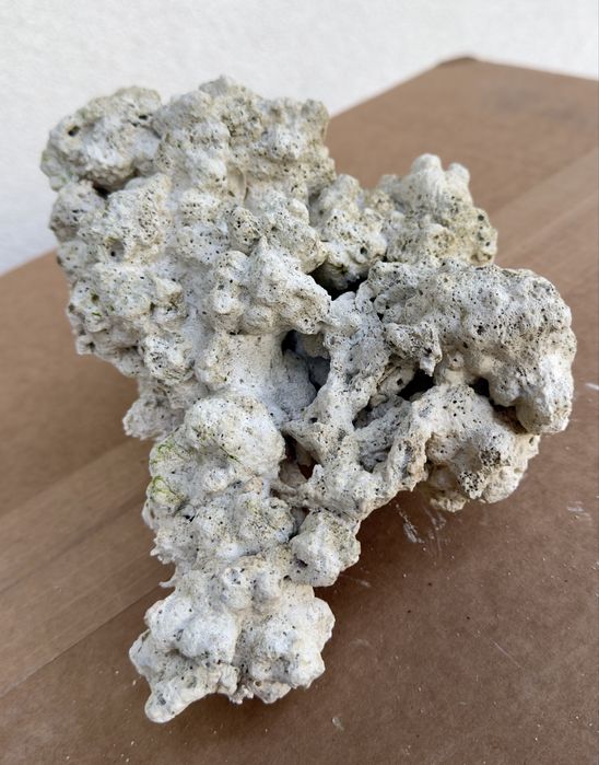 Sucha skała do akwarium morskiego