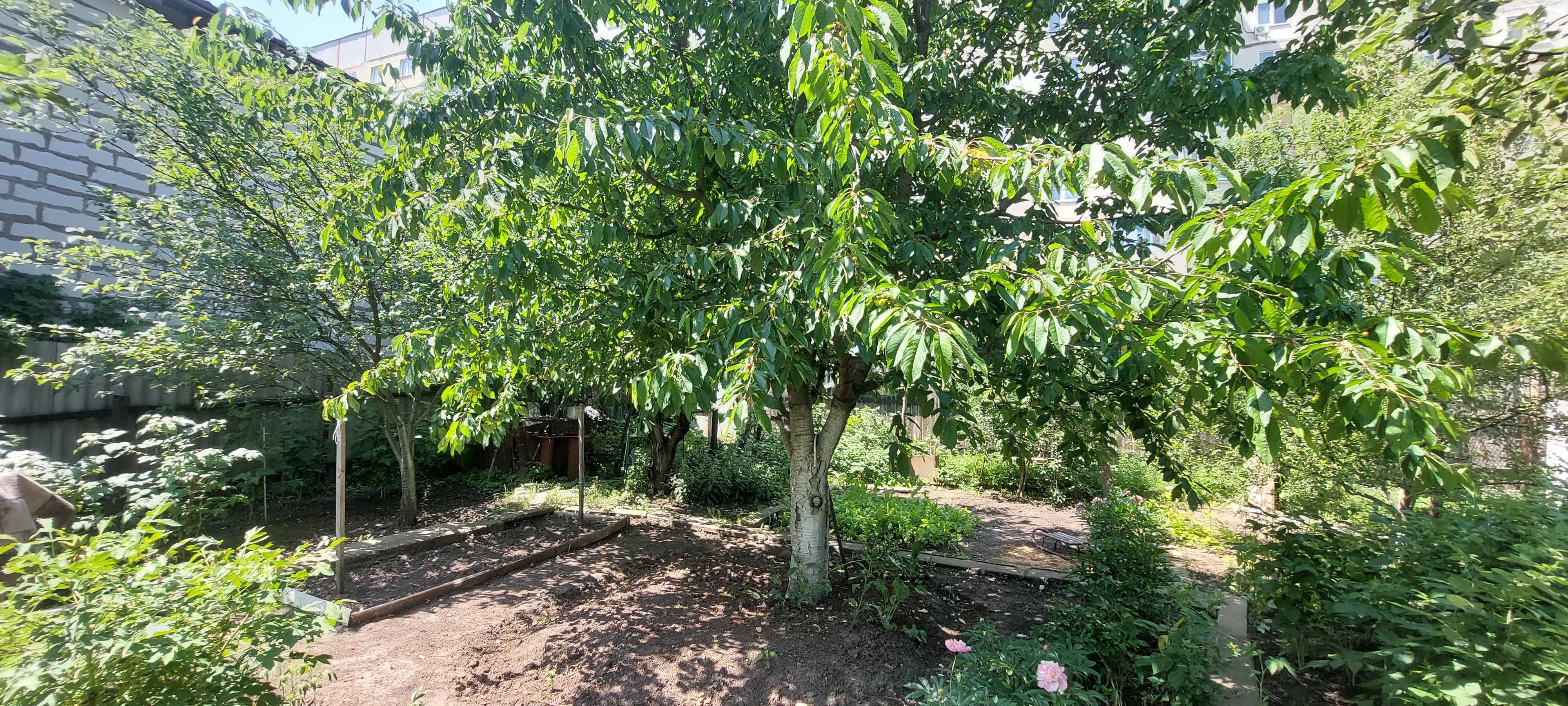 Продам отличный кирпичный дом с участком 6 соток. Можно по сертификату