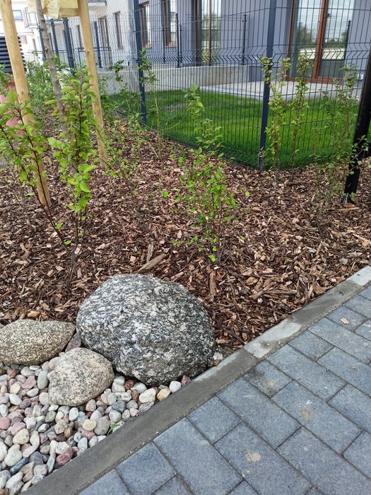 Zrębka ogrodowa na podsypkę kompostowa leśna drzewna