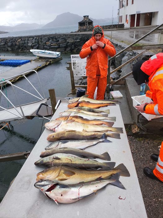 Norwegia! Fjordy z wędką - kameralne wędkowanie i zwiedzanie Fjordów