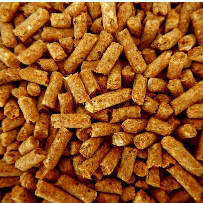 Pellet drzewny – PROMOCJA na ekologiczne ogrzewanie! Chojnice, Tuchola