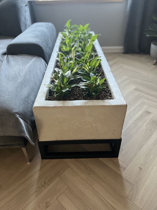 Doniczka donica betonowa duża kwietnik beton architektoniczny