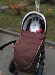 Wózek 3w1 camarello carera + maxi Cosi Citi