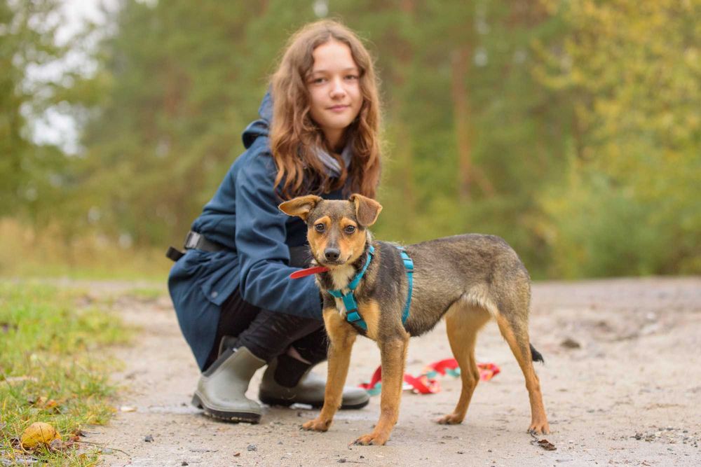 VIKSI - radosna młodzinka marznie w schronisku, szczeniak ok. 8 mcy