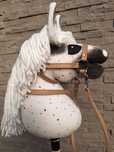 Hobby Horse Luna A5 GRATIS sprzęt