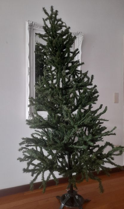 Pinheiro Canadiano de Natal artificial com 2,10 metros de altura 10