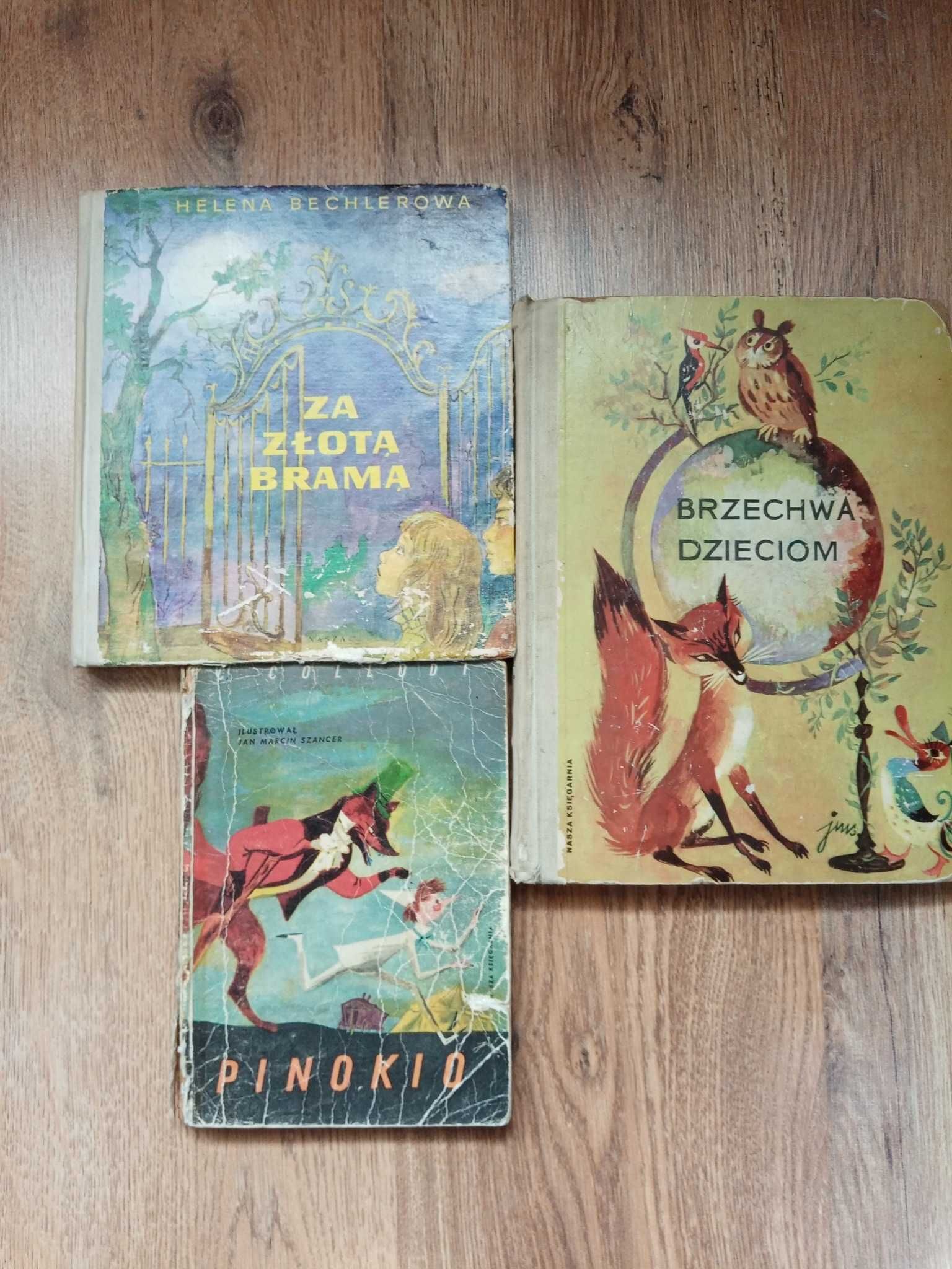 Pinokio, Za złotą bramą, Brzechwa Dzieciom - ilustr. Szancer