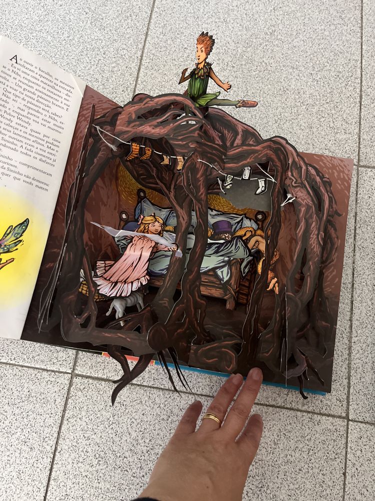 2 livros Peter Pan e os meus contos favoritos