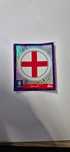 Cromos euro 2024 - roxos