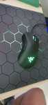 Mysz razer deathadder Essential