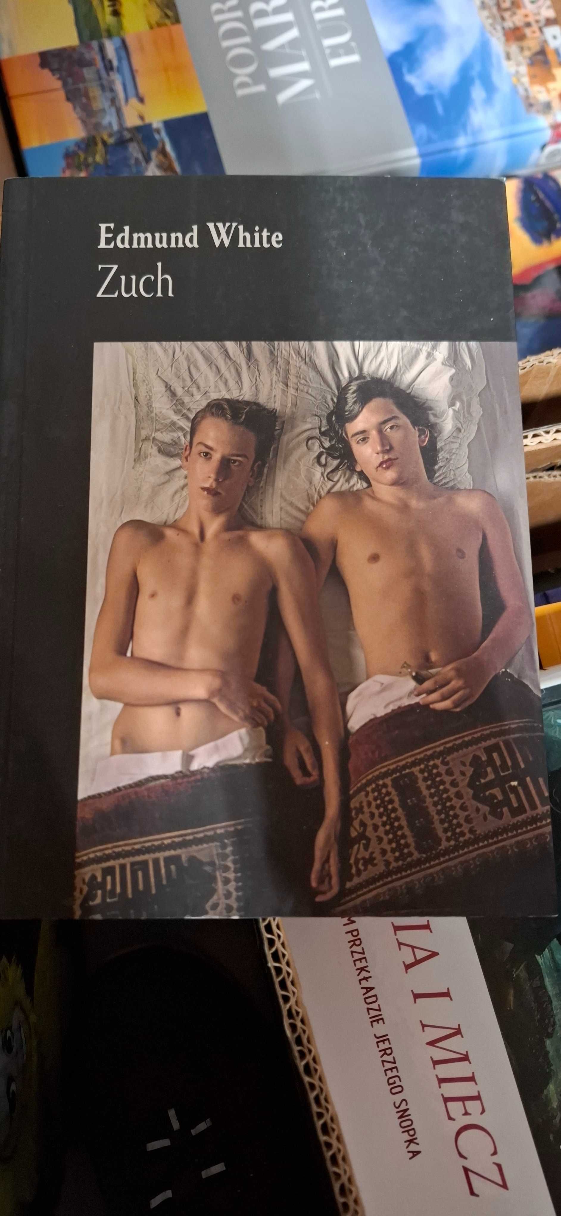 Zestaw książek 70 zł