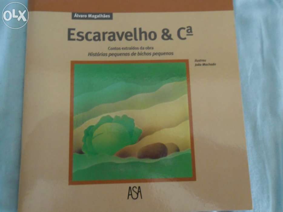 Livro "Escaravelho & Companhia"