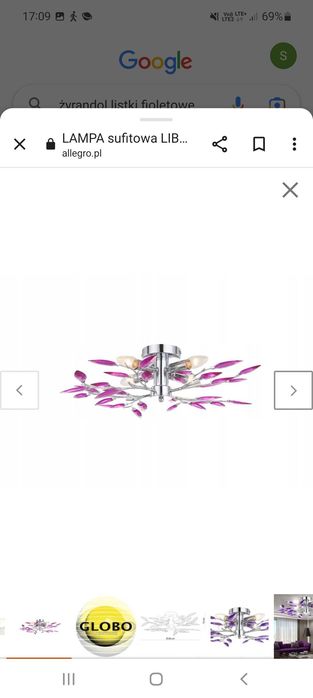 Zerandole 2 szt  listki