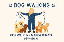 Dog walking - Graça e Penha de França