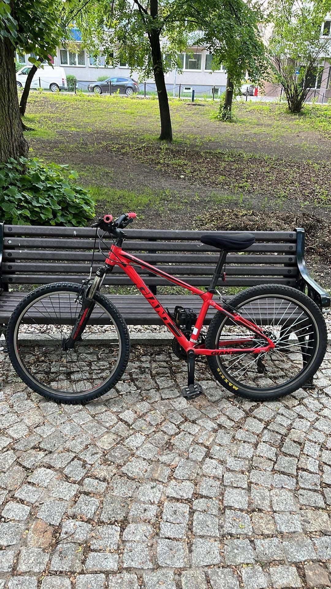 Rower Giant ATX A3 M 26