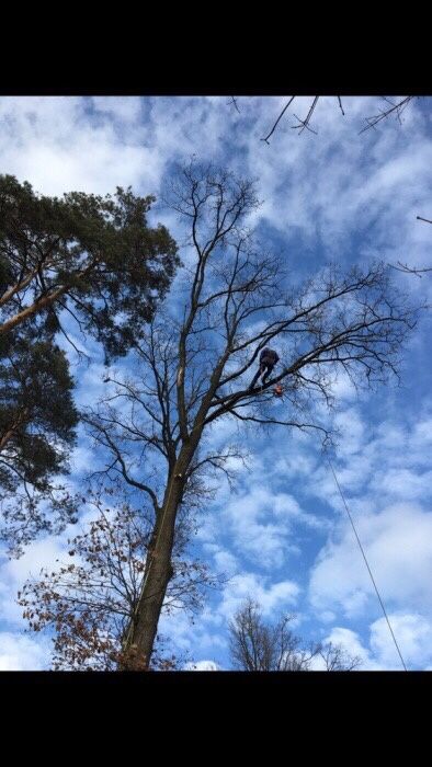 Спил та видалення аварійних дерев,кронування, покіс трави,корчування