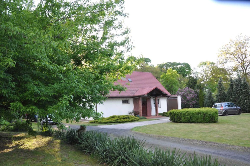 Dom z dużą działką