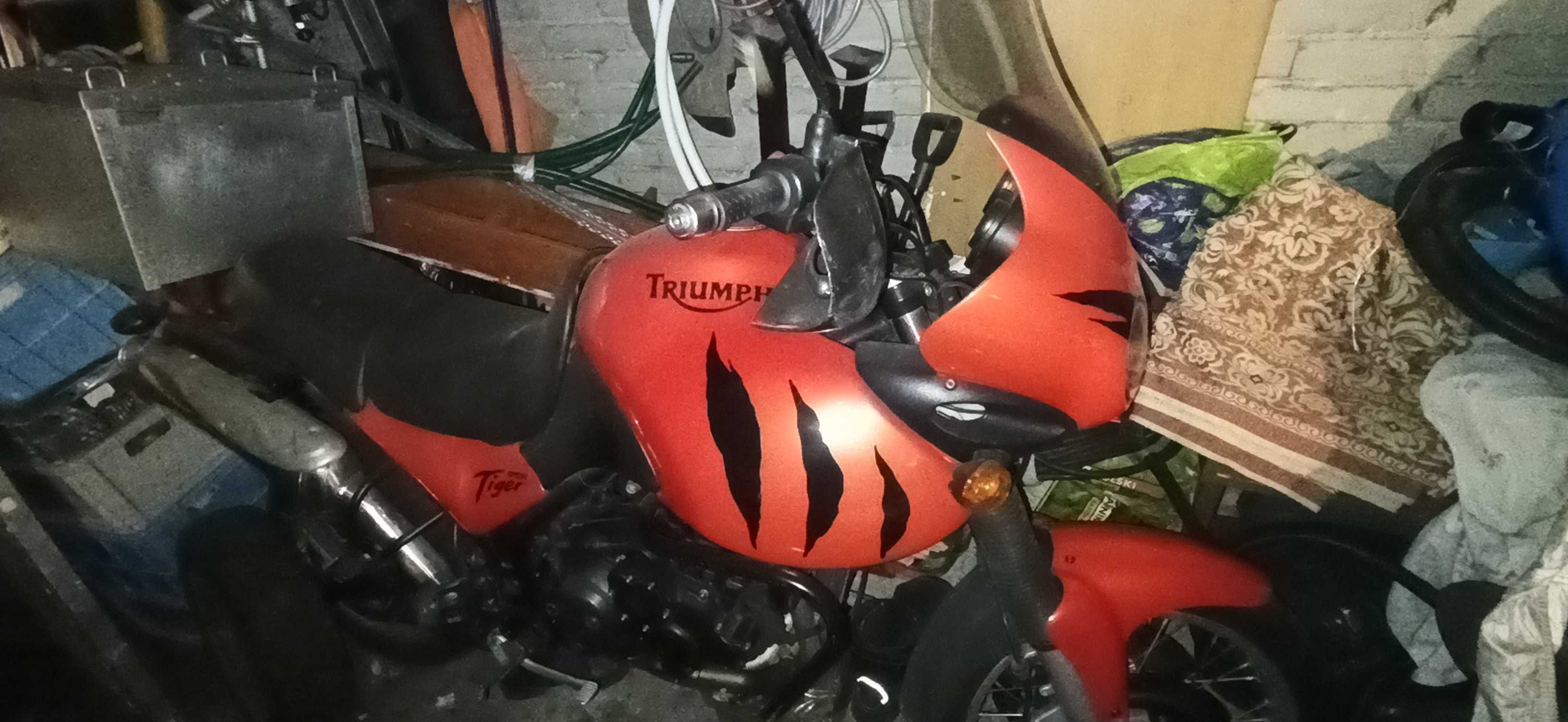 Triumph Tiger 955i 2004 r