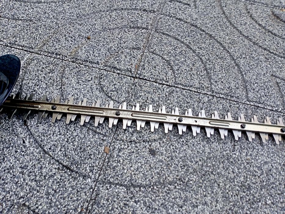 Corta sebes arbustos cedros aparar cortar