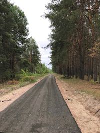 Ясногородка, ділянка 12 сот в мальовничому місці