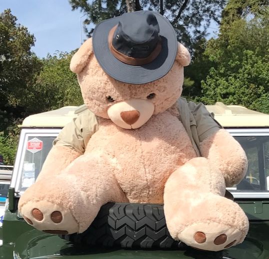 Peluche Urso Ted gigante