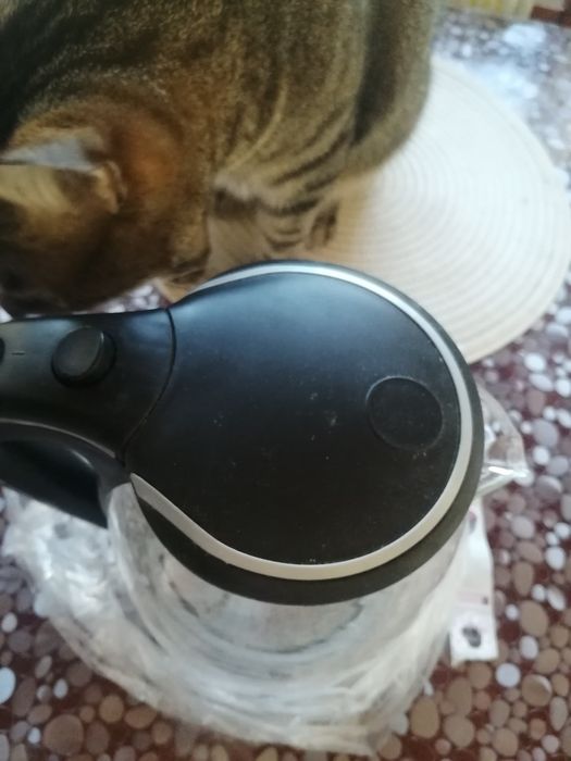 Електрочайник Kalunas з підсвіткою