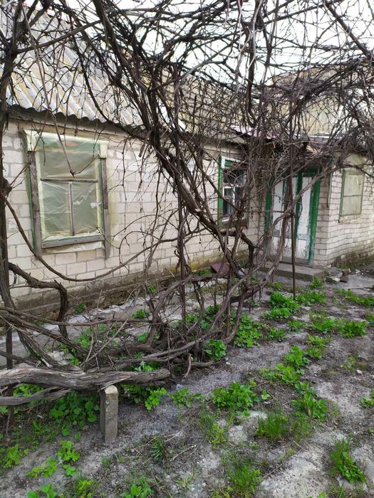 Дом с постройками в п.г.т.Кушугум