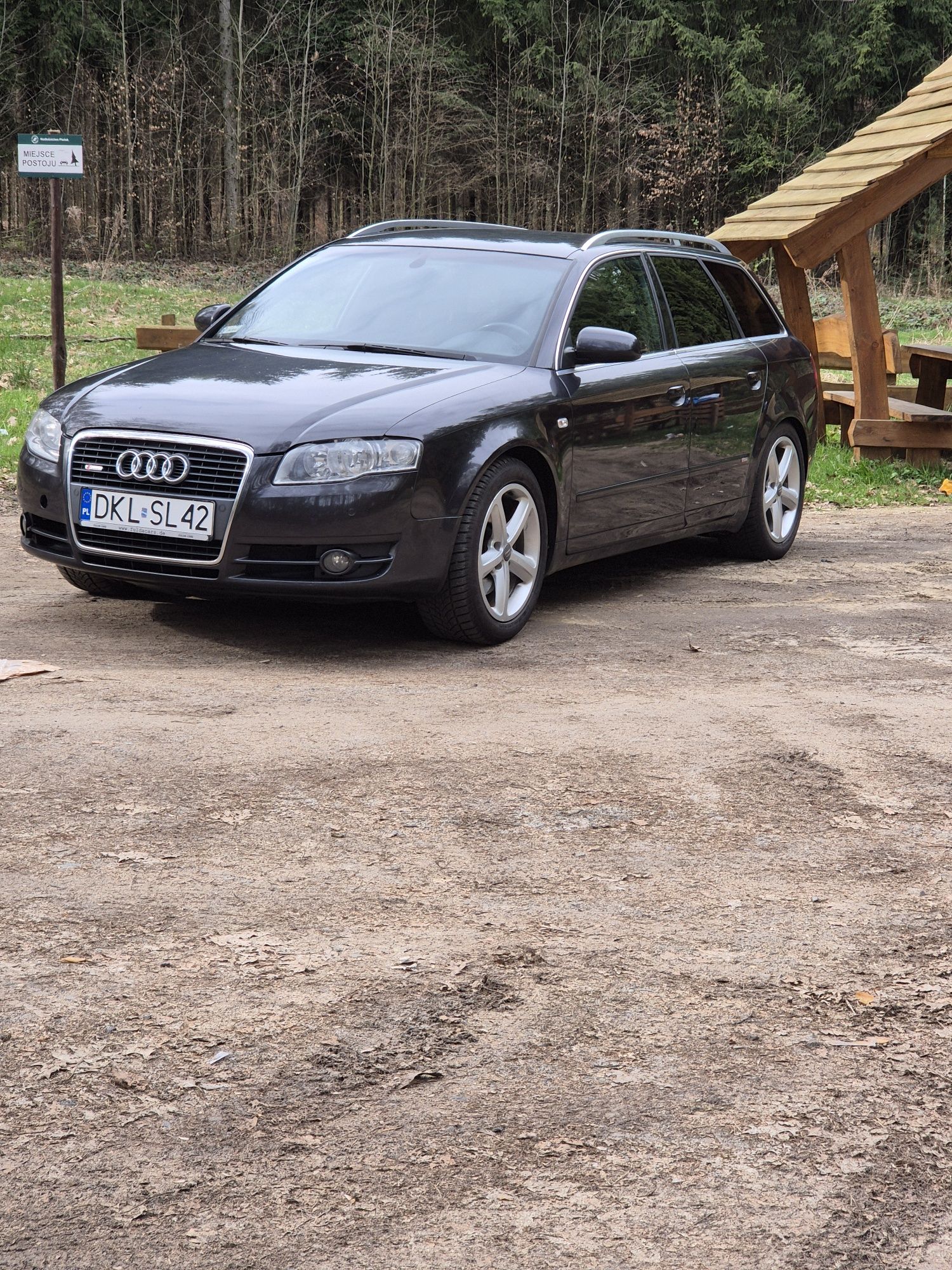 Audi a4 b7 2.0tdi