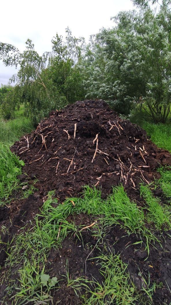 Torf, ziemia ogrodowa