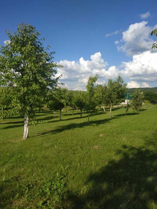 Продам будинок. Розташований в с.Тисовець 9 км від м.Чернівці