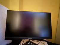 Monitor 24/7 Hikvision DS-D5024F2-BV2S