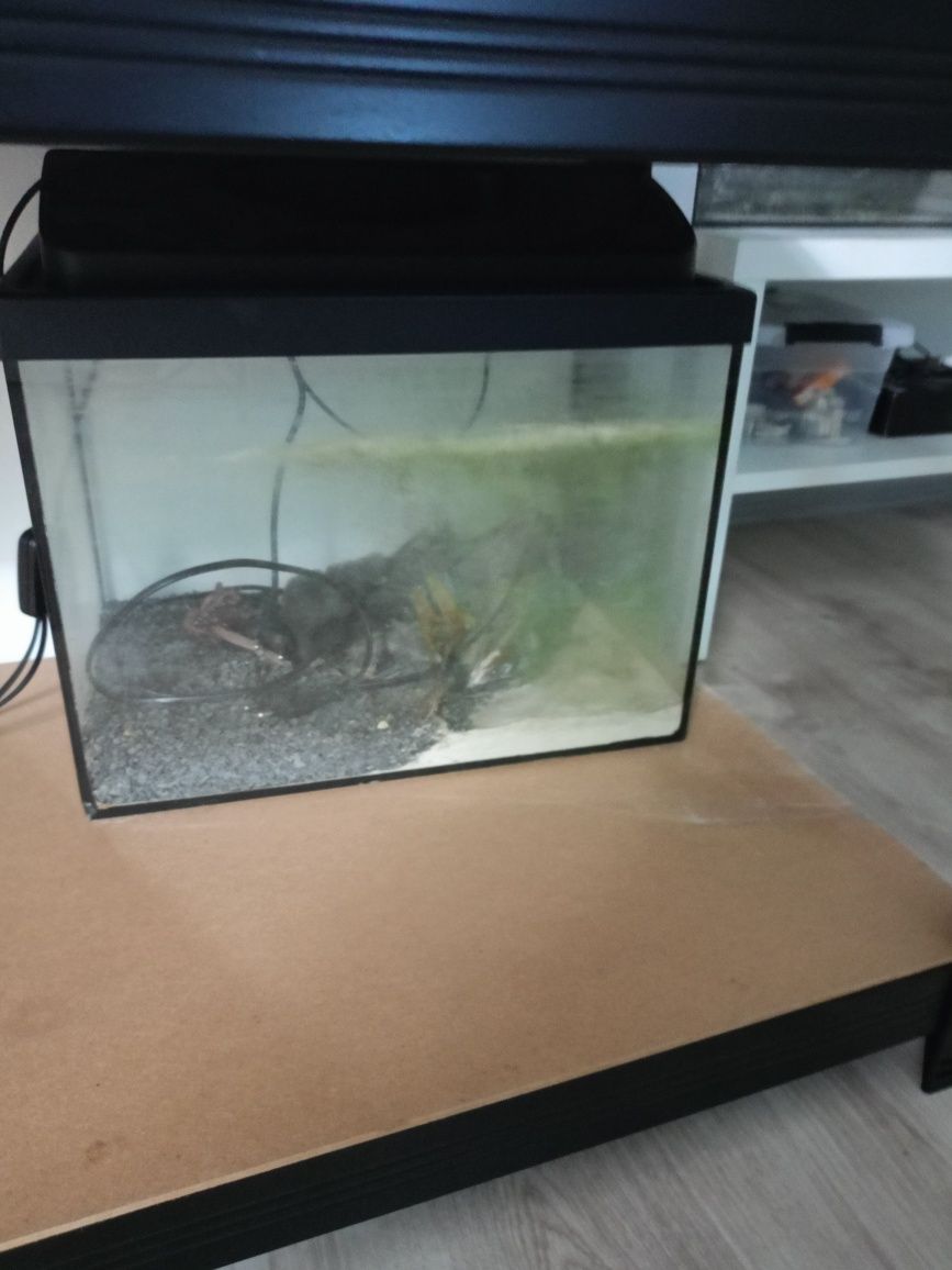 Dwa akwaria 25l i 30l