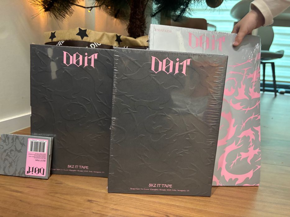 Stray kids do it , it ver, accordion альбом