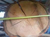 Plastry dębowe 12 cm
