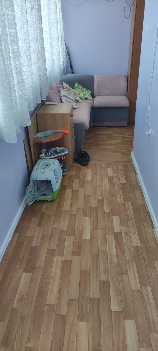 Здам свій будинок -дачу біля моря Одеса, Совіньон